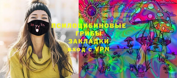 твердый Каменск-Шахтинский