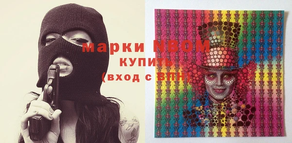 стаф Касимов