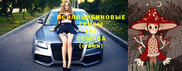 твердый Каменск-Шахтинский