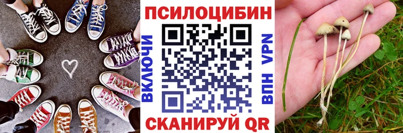 Купить закладки  Южа  Галлюциногенные грибы GOLDEN TEACHER 